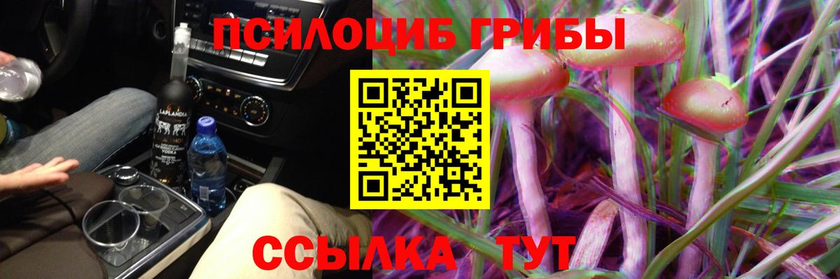 Галлюциногенные грибы Magic Shrooms Керчь